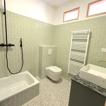 Vicente 아렐리아