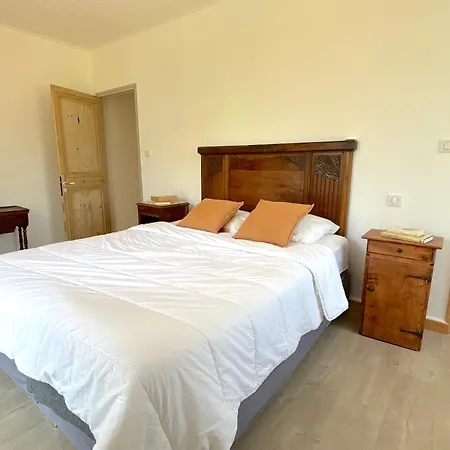 Vicente 아렐리아