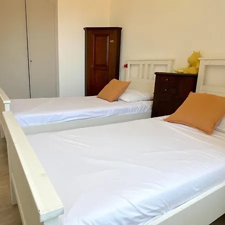 Vicente * 아렐리아