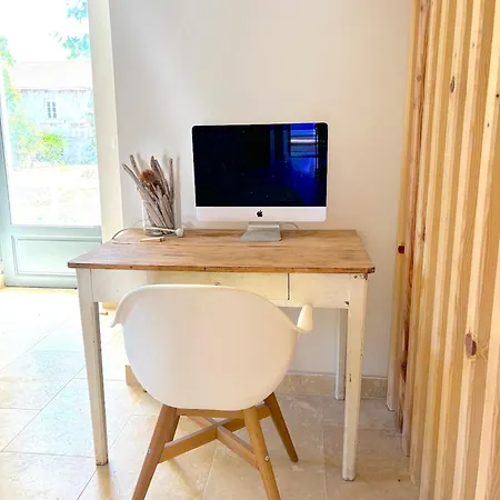 Vicente 아렐리아