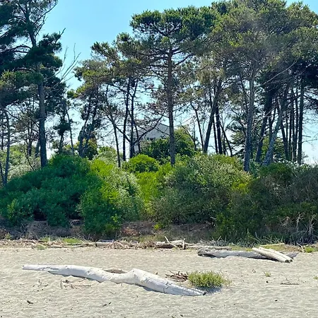 Vicente 아파트 아렐리아