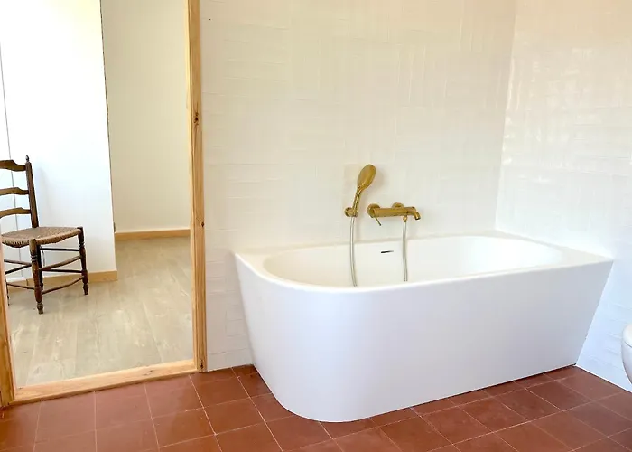 Vicente *