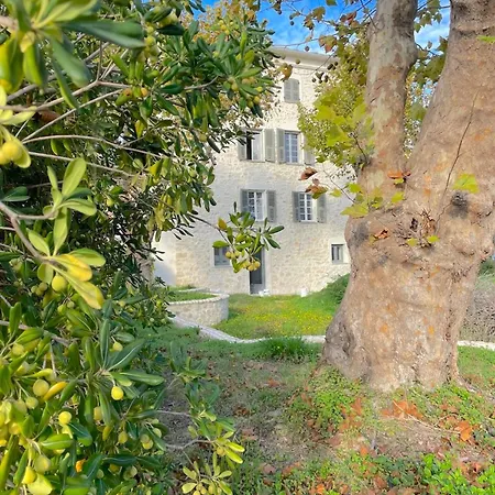 Apartment Vicente