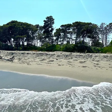 Vicente Διαμέρισμα *