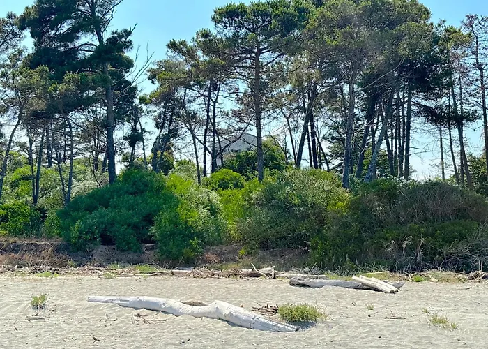 Vicente Appartamento Aleria (Corsica)