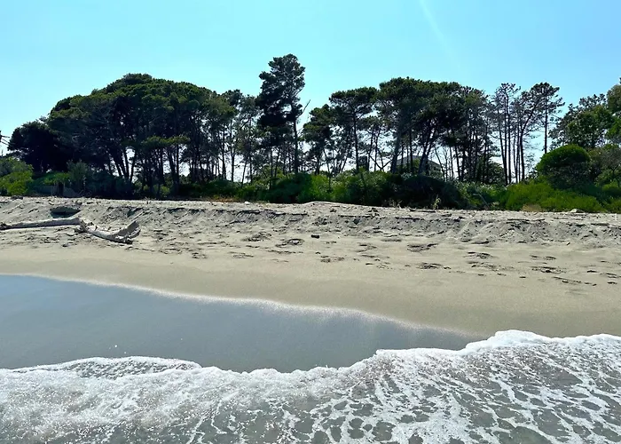 Vicente Appartamento *