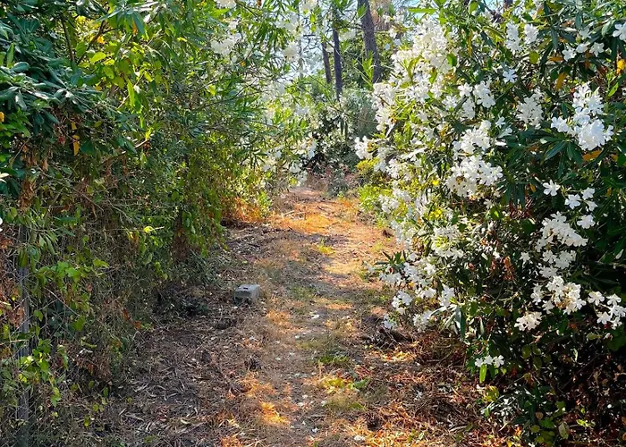 Appartamento Vicente *